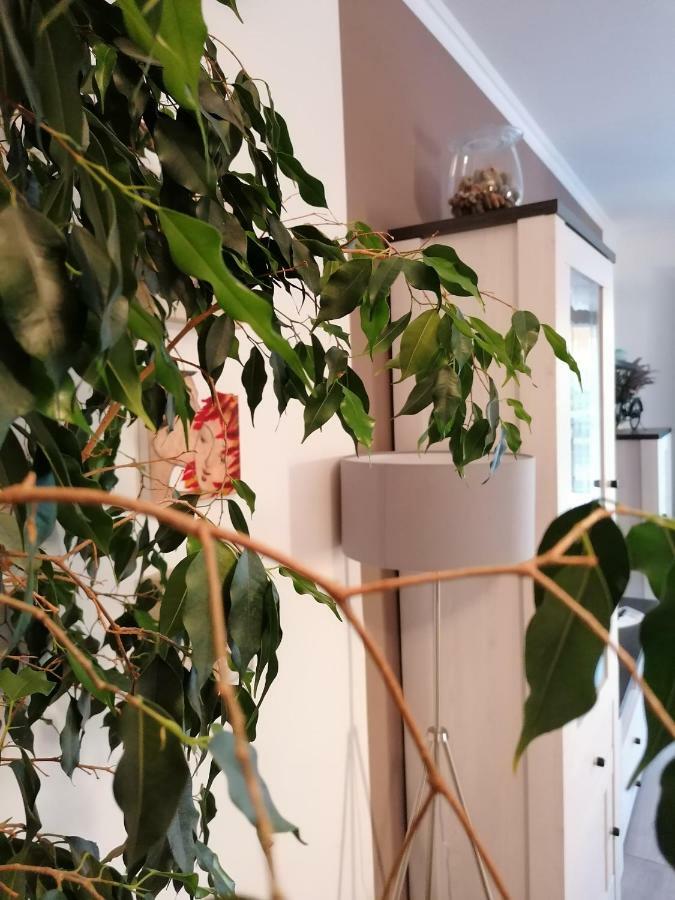 Apartman Luna Šibenik Eksteriør billede